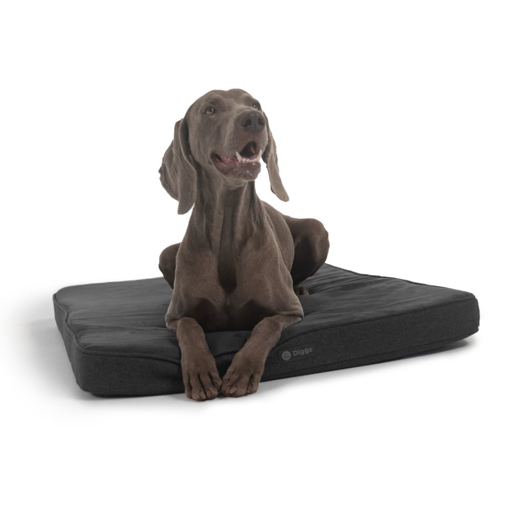 Diggs Snooz Crate Pad