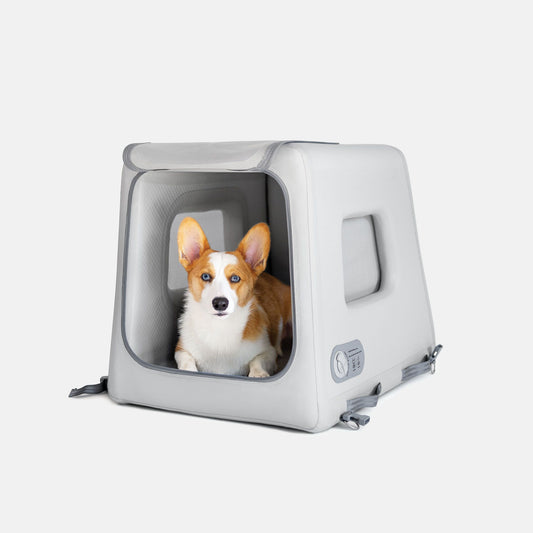 Diggs Enventur Travel Kennel