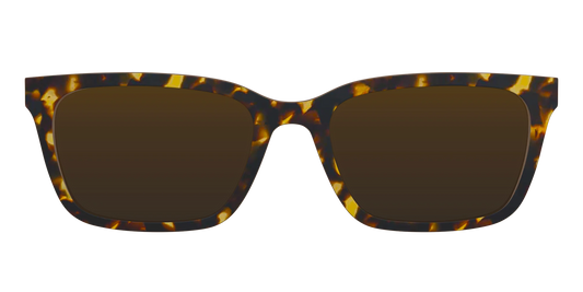 The Tortoise Sun Top
