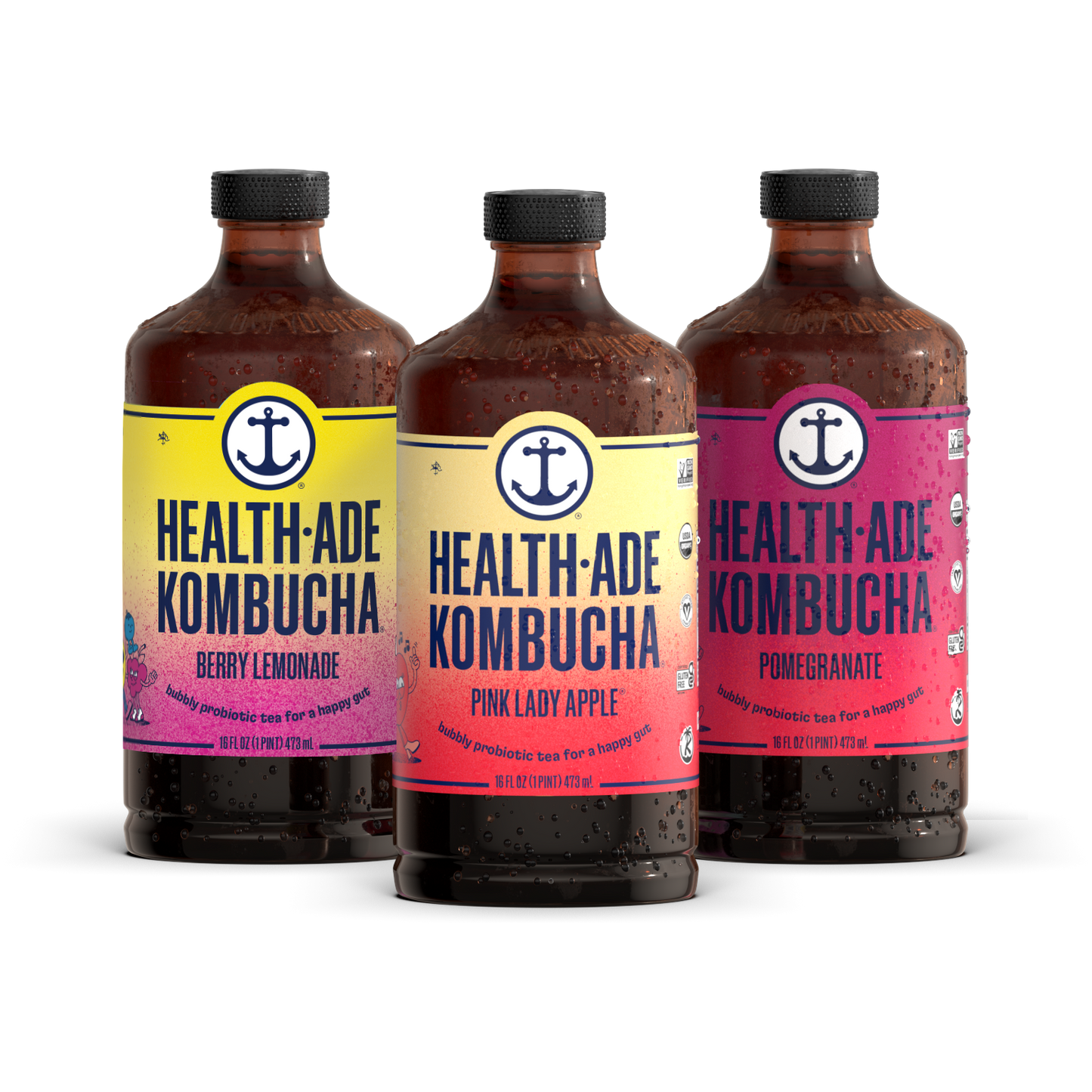 Kombucha Fan Favorite Variety Pack