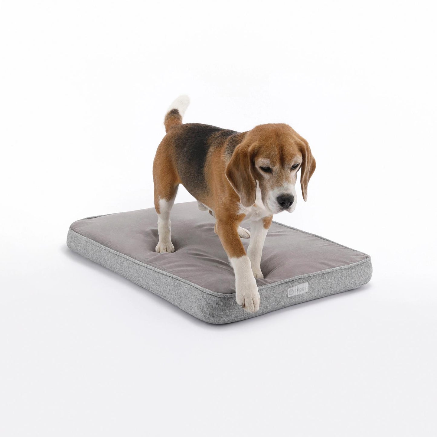 Diggs Snooz Crate Pad