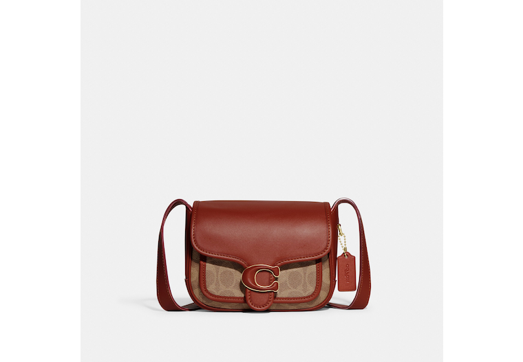 Tabby Messenger 19 In Signature Canvas