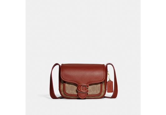 Tabby Messenger 19 In Signature Canvas